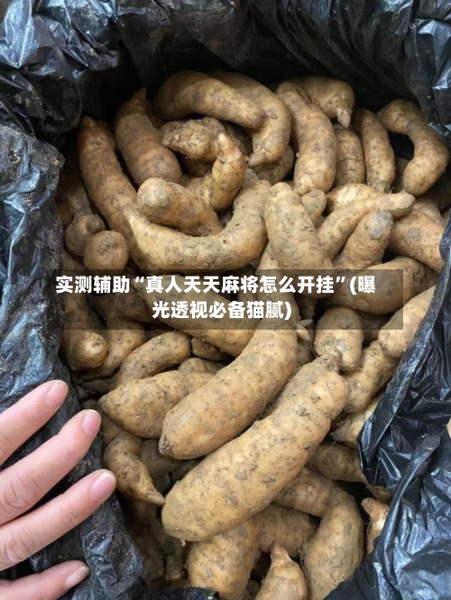 实测辅助“真人天天麻将怎么开挂”(曝光透视必备猫腻)-第3张图片