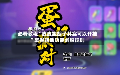 必看教程“皮皮跑胡子其实可以开挂”掌握辅助功能必胜规则-第2张图片