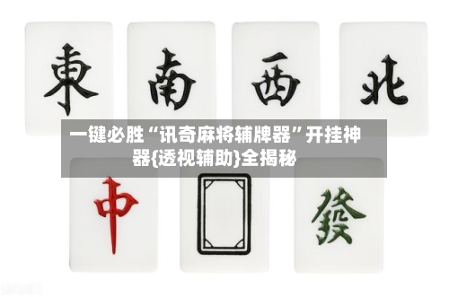 一键必胜“讯奇麻将辅牌器”开挂神器{透视辅助}全揭秘-第2张图片
