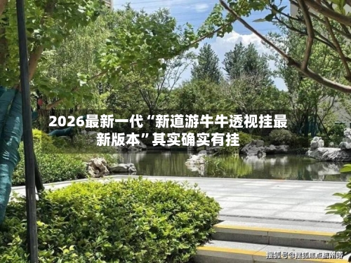 2026最新一代“新道游牛牛透视挂最新版本”其实确实有挂