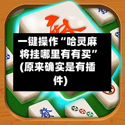 一键操作“哈灵麻将挂哪里有有买”(原来确实是有插件)-第2张图片