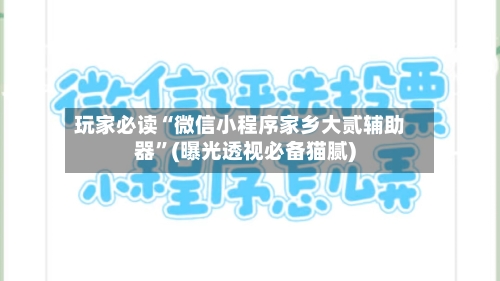 玩家必读“微信小程序家乡大贰辅助器”(曝光透视必备猫腻)