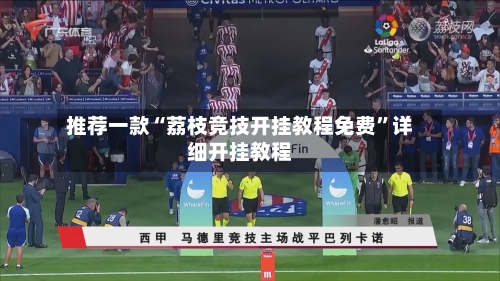 推荐一款“荔枝竞技开挂教程免费	”详细开挂教程-第3张图片