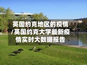 英国约克地区的疫情/英国约克大学最新疫情实时大数据报告