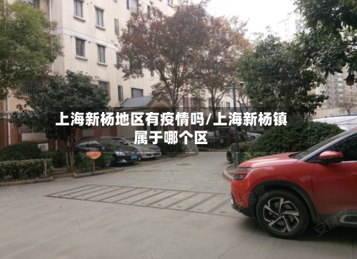 上海新杨地区有疫情吗/上海新杨镇属于哪个区
