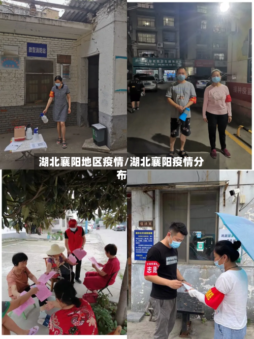 湖北襄阳地区疫情/湖北襄阳疫情分布