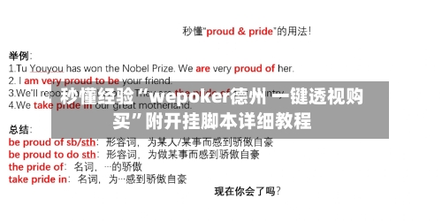 秒懂经验“wepoker德州 一键透视购买”附开挂脚本详细教程