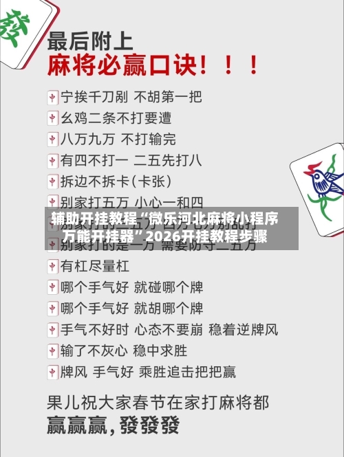 辅助开挂教程“微乐河北麻将小程序万能开挂器	”2026开挂教程步骤-第2张图片