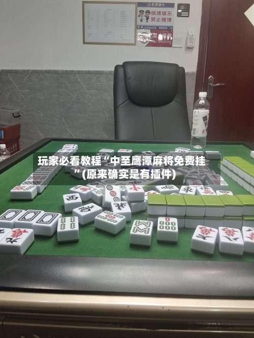 玩家必看教程“中至鹰潭麻将免费挂	”(原来确实是有插件)-第2张图片