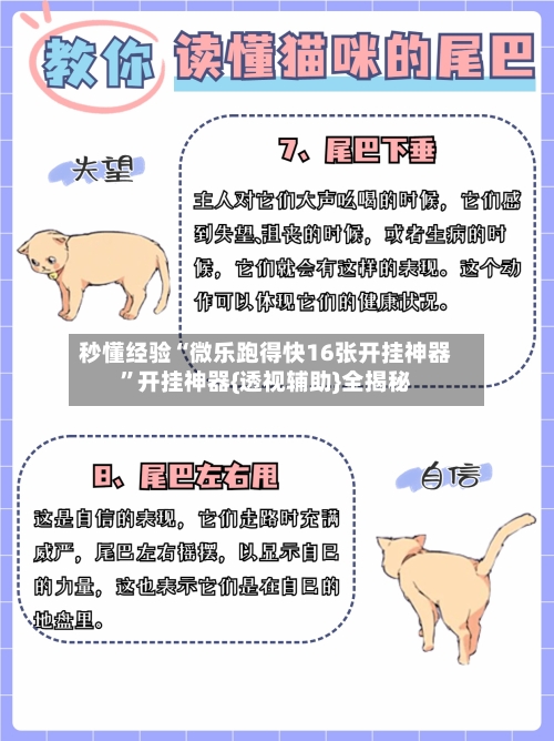 秒懂经验“微乐跑得快16张开挂神器”开挂神器{透视辅助}全揭秘-第2张图片