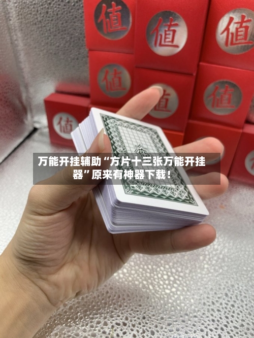 万能开挂辅助“方片十三张万能开挂器”原来有神器下载！