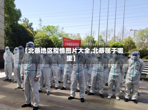 【北蔡地区疫情图片大全,北蔡属于哪里】-第2张图片