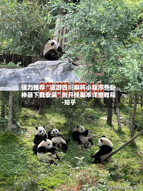 强力推荐“途游四川麻将小程序外卦神器下载安装”附开挂脚本详细教程-知乎-第3张图片