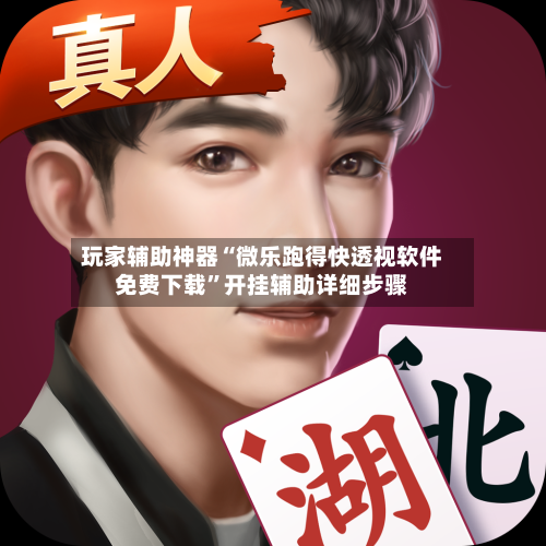 玩家辅助神器“微乐跑得快透视软件免费下载”开挂辅助详细步骤-第2张图片