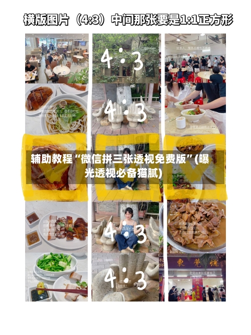 辅助教程“微信拼三张透视免费版”(曝光透视必备猫腻)-第2张图片