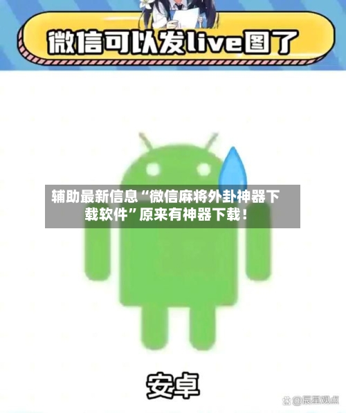 辅助最新信息“微信麻将外卦神器下载软件”原来有神器下载！