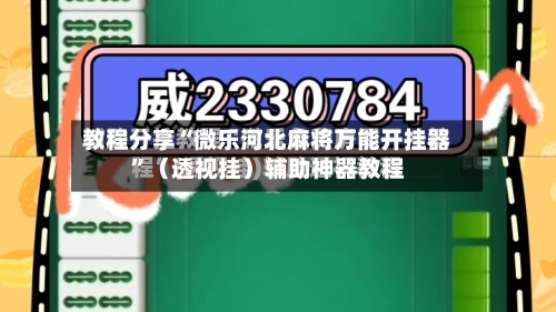 教程分享“微乐河北麻将万能开挂器	”（透视挂）辅助神器教程-第2张图片