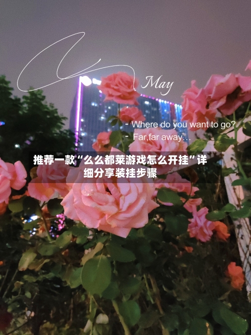 推荐一款“么么都莱游戏怎么开挂	”详细分享装挂步骤-第2张图片