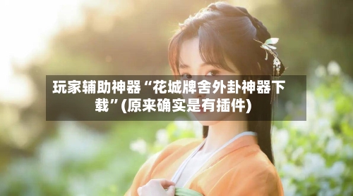 玩家辅助神器“花城牌舍外卦神器下载”(原来确实是有插件)