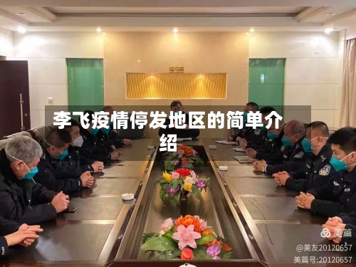 李飞疫情停发地区的简单介绍-第3张图片