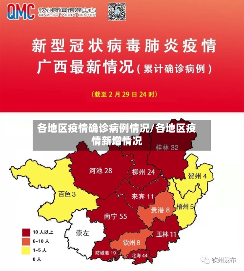 各地区疫情确诊病例情况/各地区疫情新增情况-第3张图片