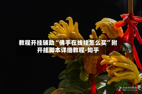 教程开挂辅助“佛手在线挂怎么买	”附开挂脚本详细教程-知乎-第2张图片