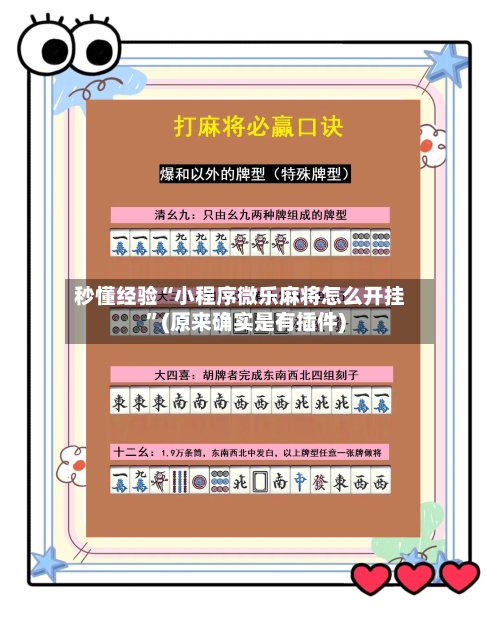 秒懂经验“小程序微乐麻将怎么开挂”(原来确实是有插件)-第3张图片