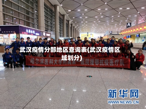 武汉疫情分部地区查询表(武汉疫情区域划分)-第3张图片