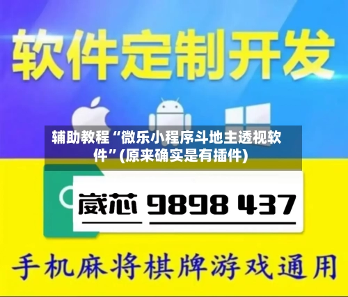 辅助教程“微乐小程序斗地主透视软件”(原来确实是有插件)