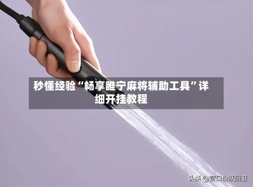 秒懂经验“畅享睢宁麻将辅助工具”详细开挂教程-第2张图片