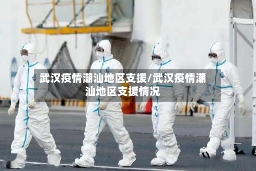 武汉疫情潮汕地区支援/武汉疫情潮汕地区支援情况