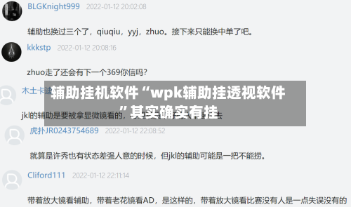 辅助挂机软件“wpk辅助挂透视软件”其实确实有挂-第2张图片
