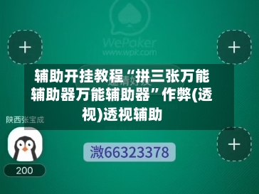 辅助开挂教程“拼三张万能辅助器万能辅助器	”作弊(透视)透视辅助-第2张图片