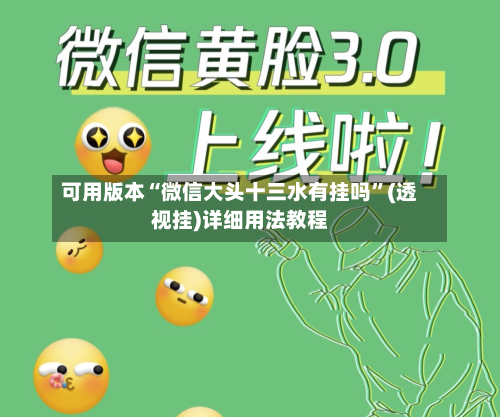 可用版本“微信大头十三水有挂吗”(透视挂)详细用法教程-第2张图片