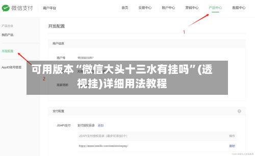 可用版本“微信大头十三水有挂吗”(透视挂)详细用法教程