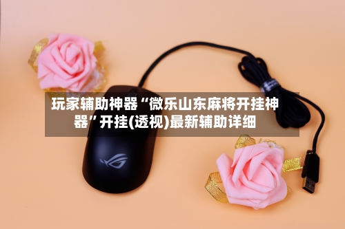 玩家辅助神器“微乐山东麻将开挂神器”开挂(透视)最新辅助详细-第2张图片