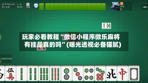 玩家必看教程“微信小程序微乐麻将有挂是真的吗”(曝光透视必备猫腻)