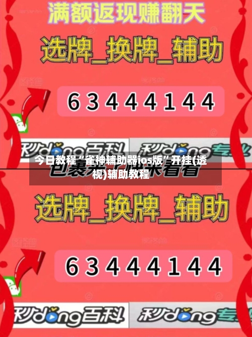 今日教程“雀神辅助器ios版	”开挂(透视)辅助教程-第2张图片