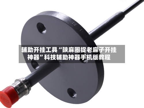 辅助开挂工具“陕麻圈捉老麻子开挂神器	”科技辅助神器手机版教程-第2张图片