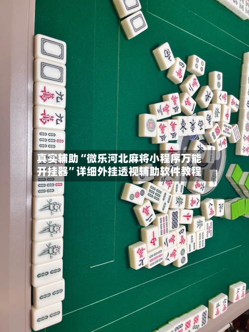 真实辅助“微乐河北麻将小程序万能开挂器”详细外挂透视辅助软件教程-第2张图片