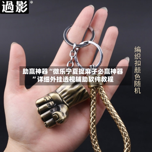 助赢神器“微乐宁夏捉麻子必赢神器”详细外挂透视辅助软件教程-第3张图片