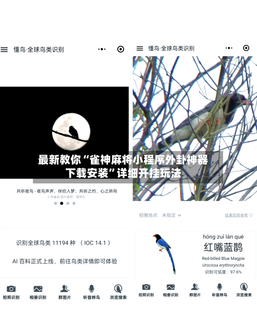 最新教你“雀神麻将小程序外卦神器下载安装”详细开挂玩法