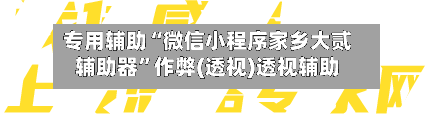 专用辅助“微信小程序家乡大贰辅助器”作弊(透视)透视辅助-第2张图片
