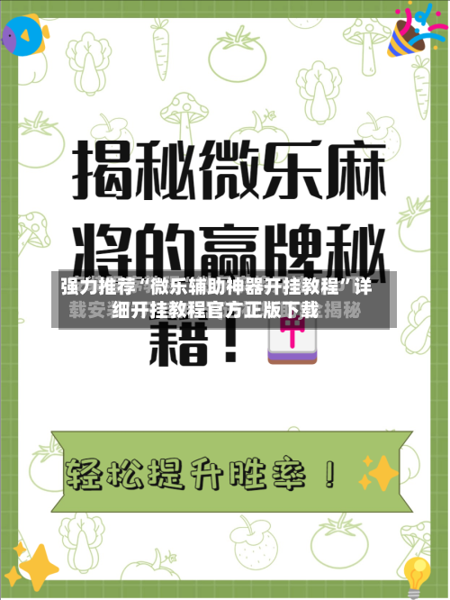强力推荐“微乐辅助神器开挂教程”详细开挂教程官方正版下载-第2张图片