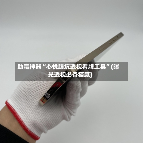 助赢神器“心悦踢坑透视看牌工具”(曝光透视必备猫腻)-第3张图片