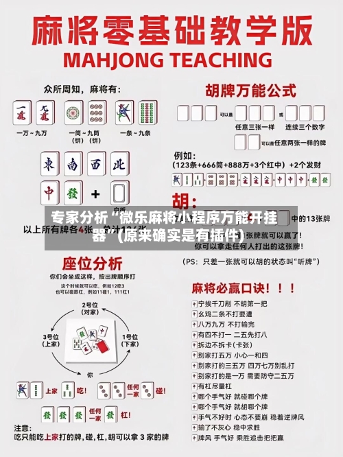 专家分析“微乐麻将小程序万能开挂器”(原来确实是有插件)-第2张图片