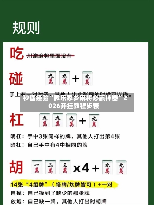 秒懂经验“微乐家乡麻将必赢神器”2026开挂教程步骤-第2张图片