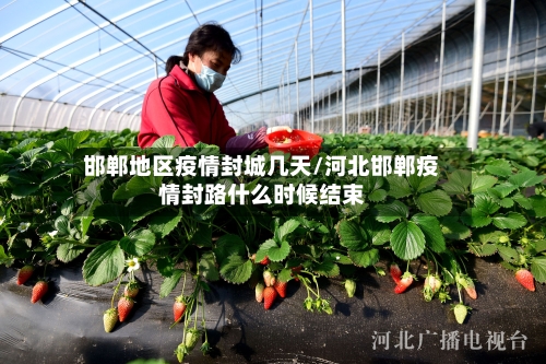 邯郸地区疫情封城几天/河北邯郸疫情封路什么时候结束