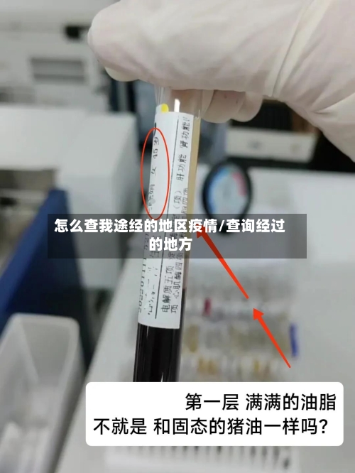 怎么查我途经的地区疫情/查询经过的地方-第3张图片