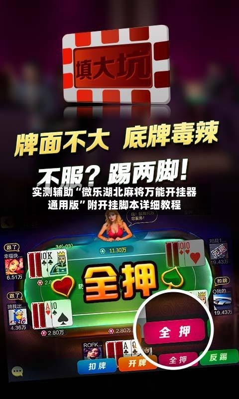 实测辅助“微乐湖北麻将万能开挂器通用版	”附开挂脚本详细教程-第3张图片